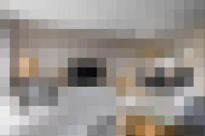 Kempenlaan 12 Oldenzaal thumbnail 11