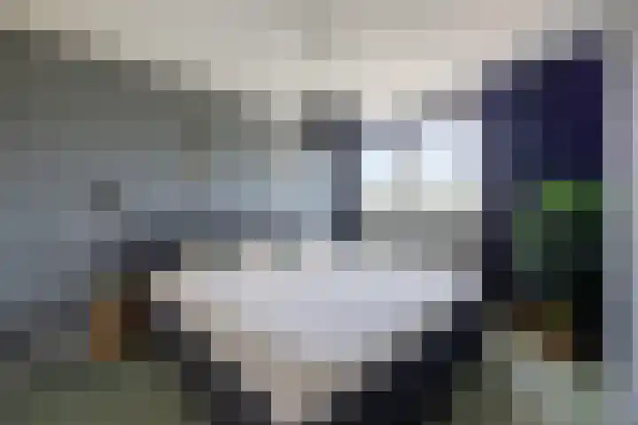 Kempenlaan 12 Oldenzaal thumbnail 16