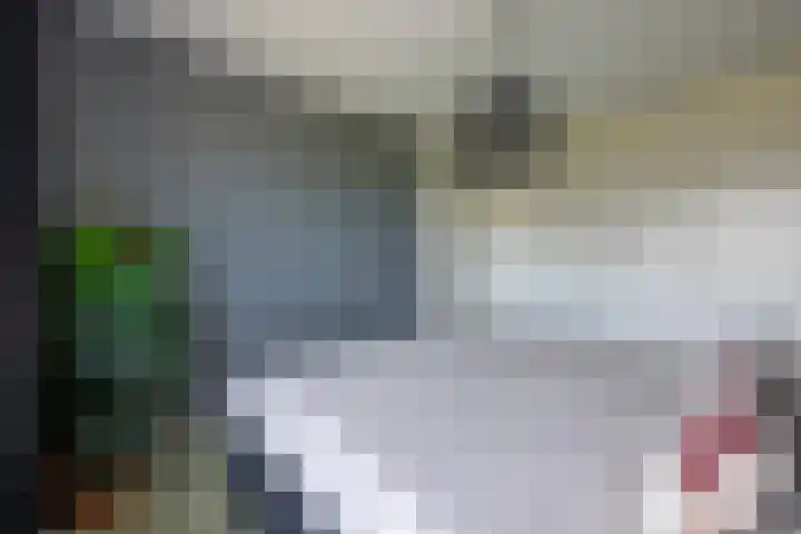 Kempenlaan 12 Oldenzaal thumbnail 17