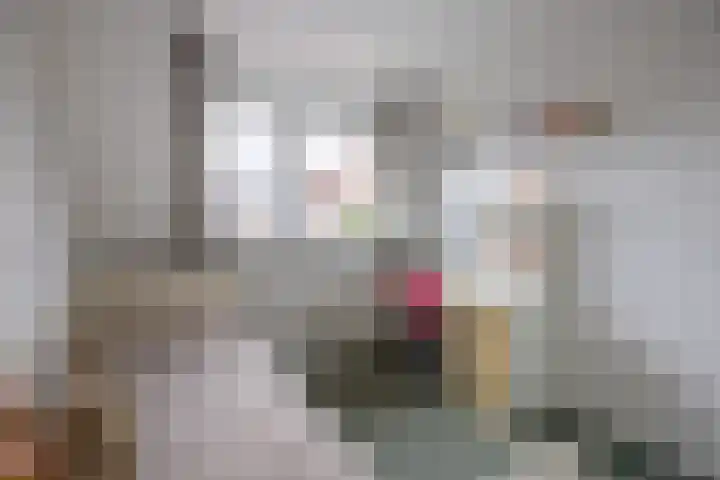 Kempenlaan 12 Oldenzaal thumbnail 20