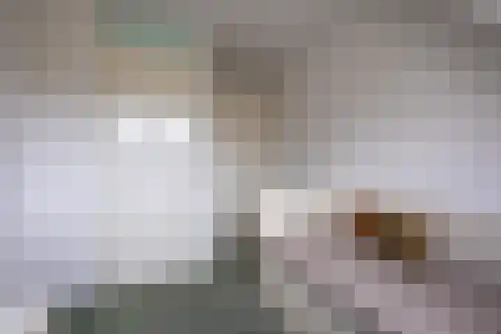 Kempenlaan 12 Oldenzaal thumbnail 21
