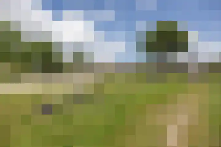 Kempenlaan 12 Oldenzaal thumbnail 31