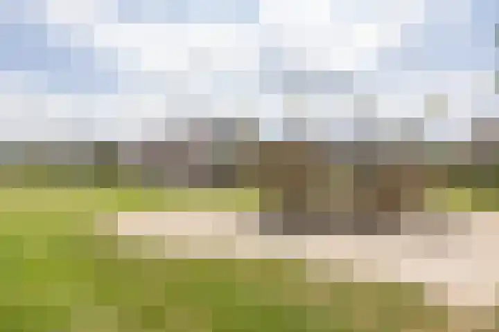 Kempenlaan 12 Oldenzaal thumbnail 32