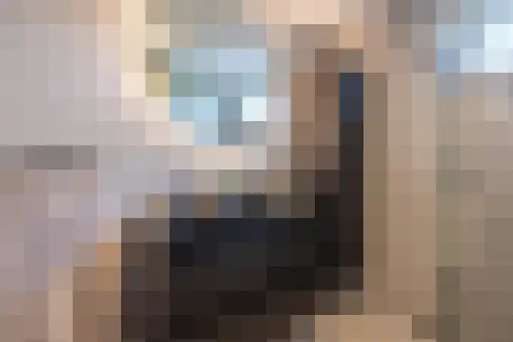 Kempenlaan 12 Oldenzaal thumbnail 4