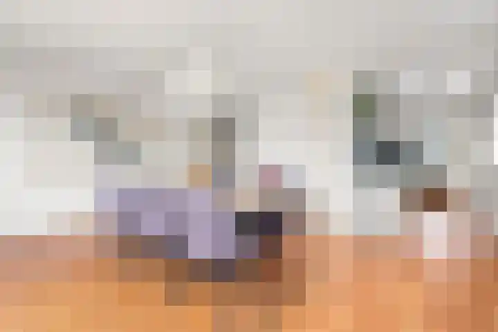 Kempenlaan 120 Amsterdam thumbnail 12