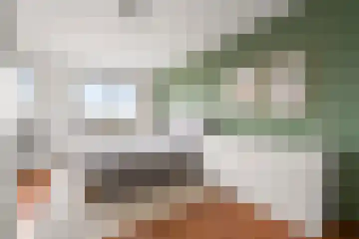Kempenlaan 120 Amsterdam thumbnail 21