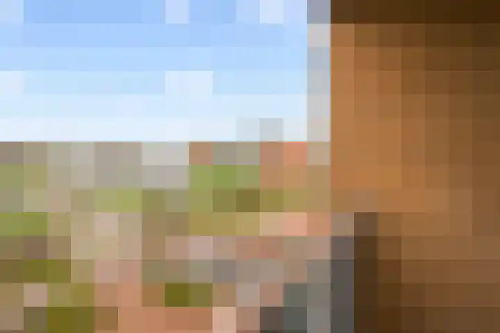 Kempenlaan 120 Amsterdam thumbnail 32