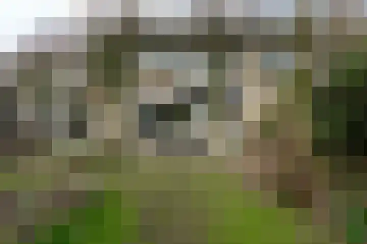 Kempenlaan 15 Son en Breugel thumbnail 16