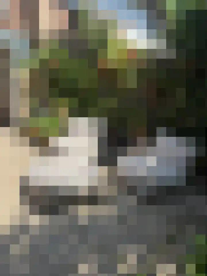 Kempenlaan 15 Son en Breugel thumbnail 17
