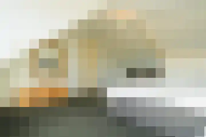 Kempenlaan 15 Son en Breugel thumbnail 36