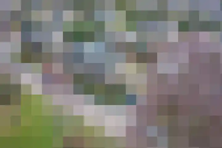 Kempenlaan 15 Son en Breugel thumbnail 38