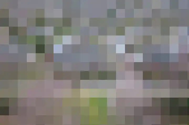 Kempenlaan 15 Son en Breugel thumbnail 51