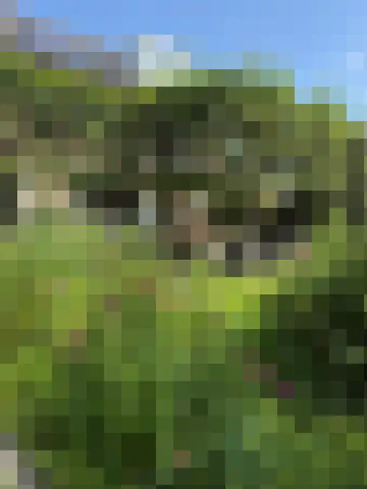 Kempenlaan 15 Son en Breugel thumbnail 52