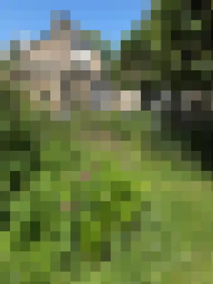 Kempenlaan 15 Son en Breugel thumbnail 53