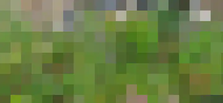 Kempenlaan 15 Son en Breugel thumbnail 57