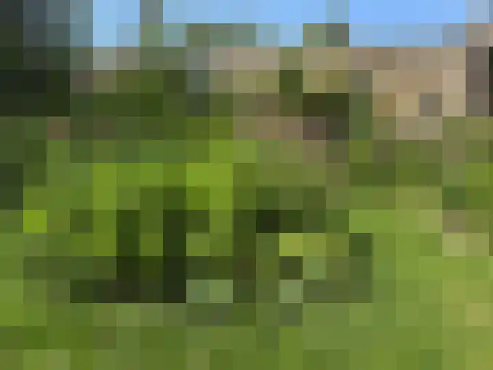 Kempenlaan 15 Son en Breugel thumbnail 58