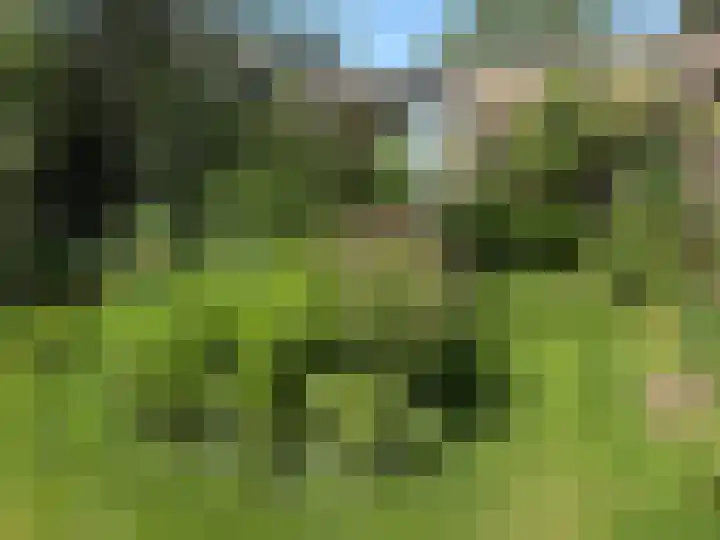 Kempenlaan 15 Son en Breugel thumbnail 59