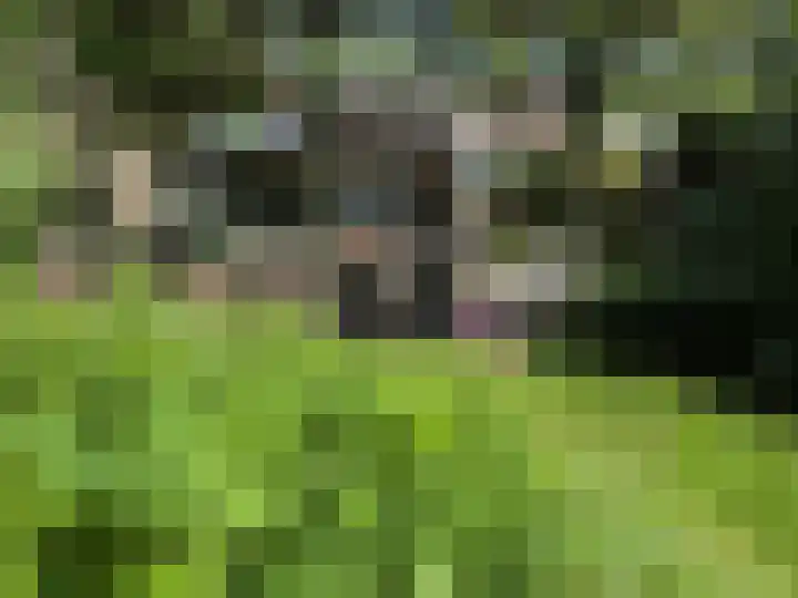 Kempenlaan 15 Son en Breugel thumbnail 60