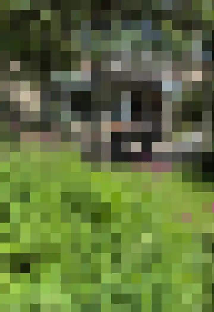 Kempenlaan 15 Son en Breugel thumbnail 61