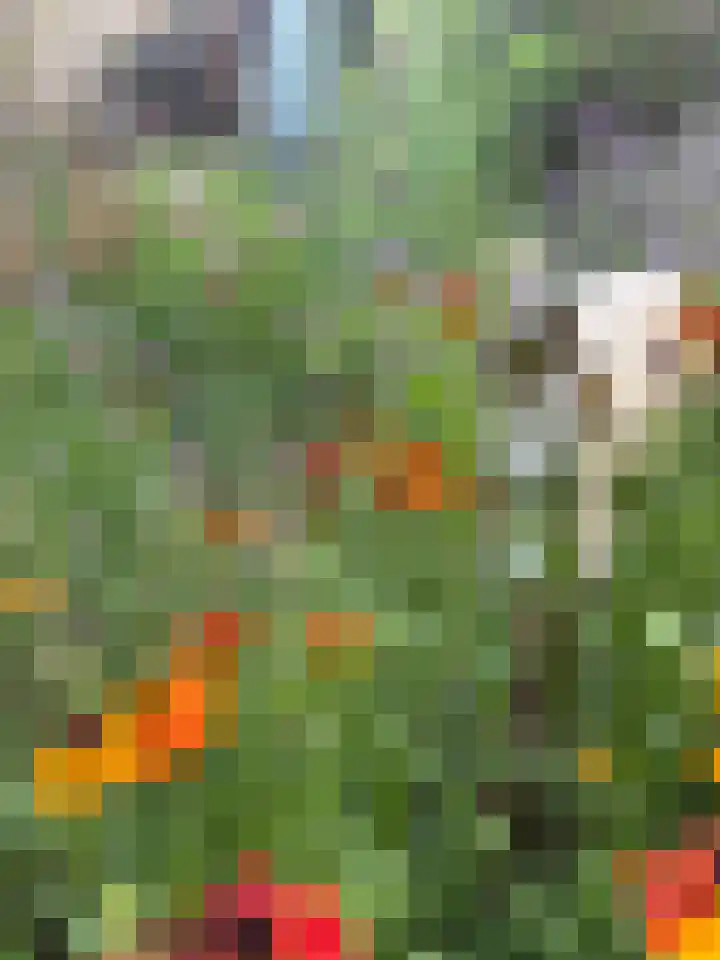 Kempenlaan 15 Son en Breugel thumbnail 62