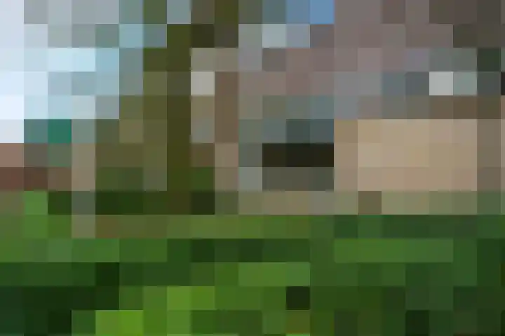 Kempenlaan 15 Son en Breugel thumbnail 67