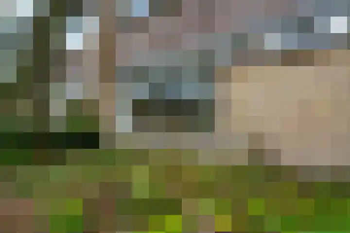 Kempenlaan 15 Son en Breugel thumbnail 68
