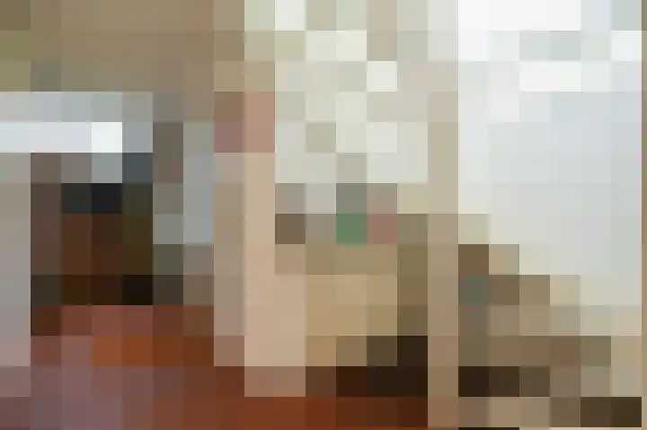 Kempenlaan 15 Son en Breugel thumbnail 69