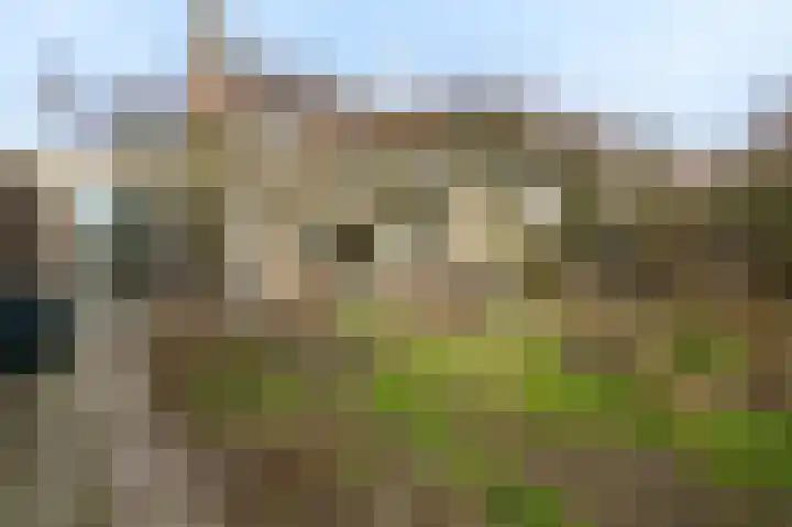 Kempenlaan 15 Son en Breugel thumbnail 7