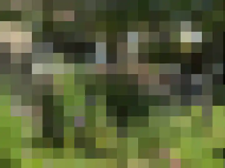 Kempenlaan 15 Son en Breugel thumbnail 84