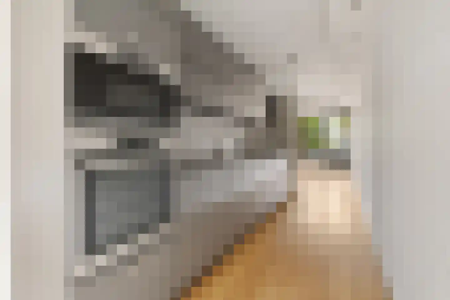 Kempenlaan 154 Amsterdam thumbnail 25