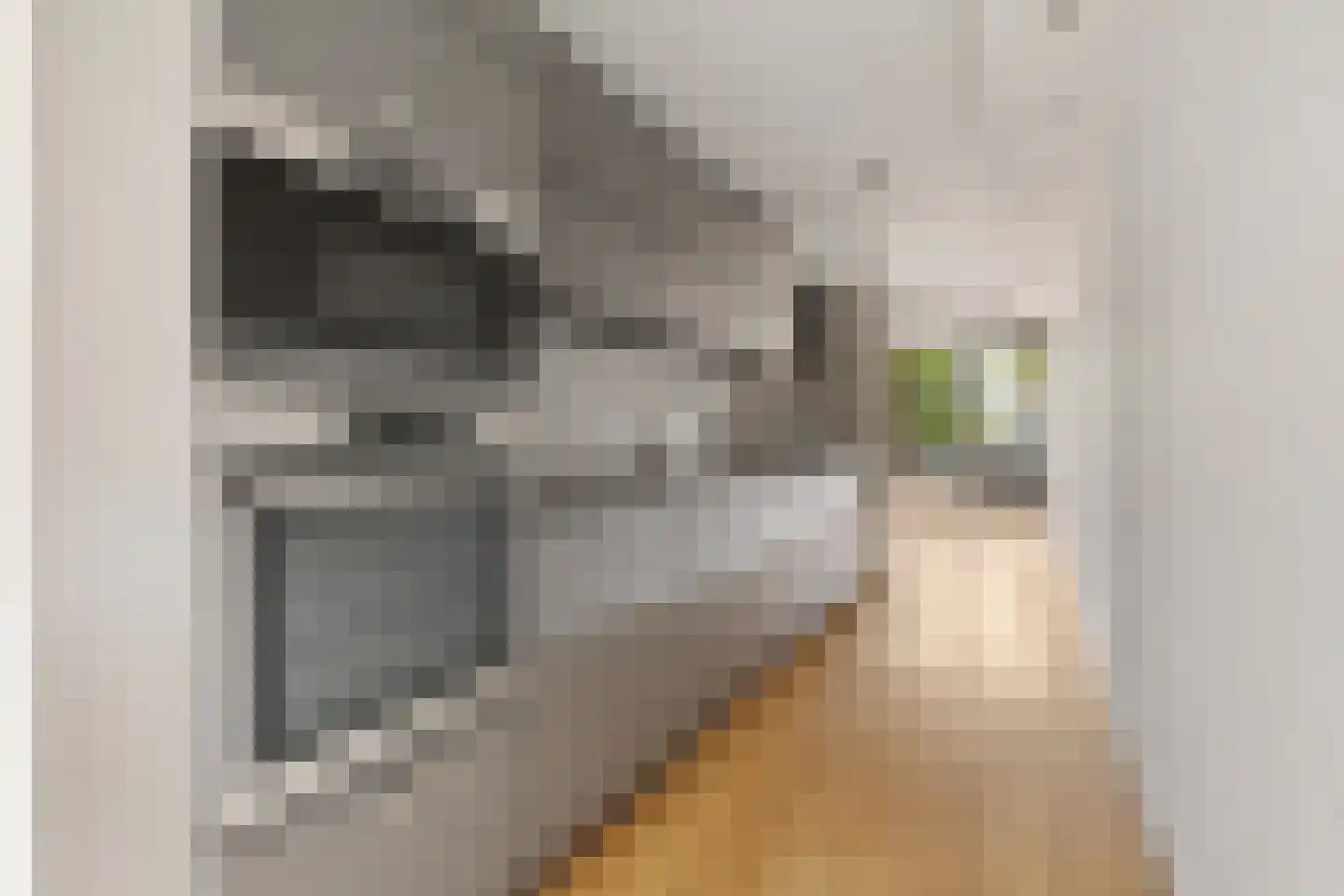 Kempenlaan 154 Amsterdam thumbnail 25