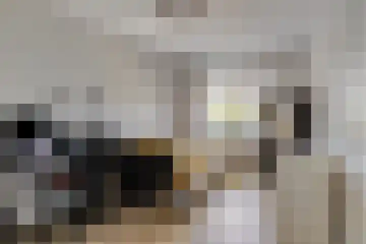 Kempenlaan 157 Amsterdam thumbnail 33