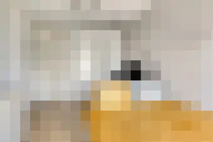 Kempenlaan 157 Amsterdam thumbnail 34