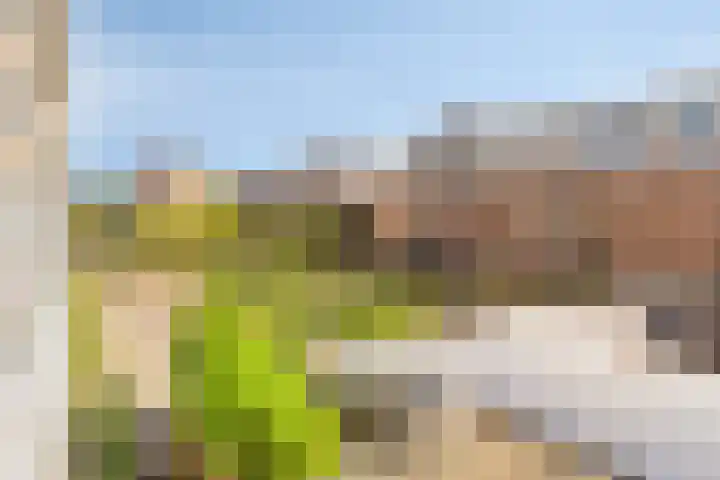 Kempenlaan 157 Amsterdam thumbnail 5