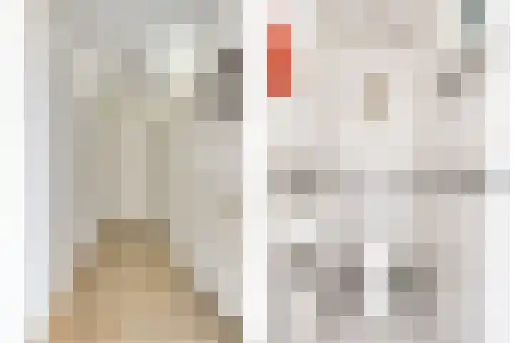 Kempenlaan 157 Amsterdam thumbnail 6