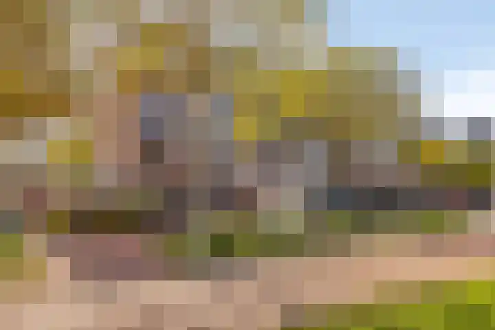 Kempenlaan 157 Amsterdam thumbnail 8
