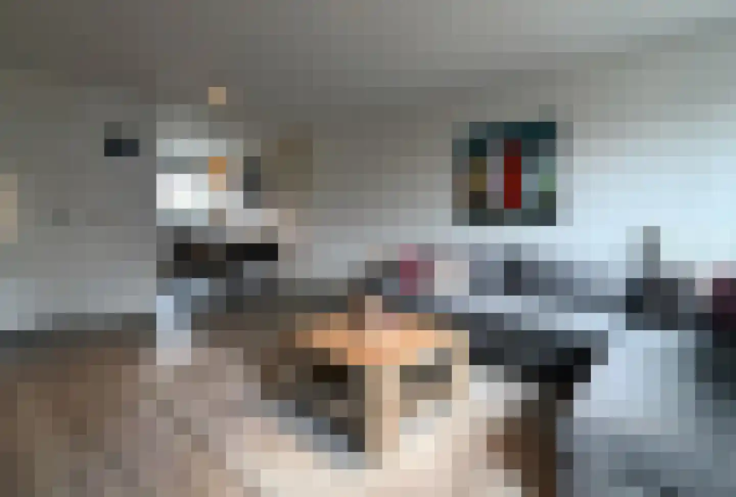 Kempenlaan 18 Oldenzaal thumbnail 4