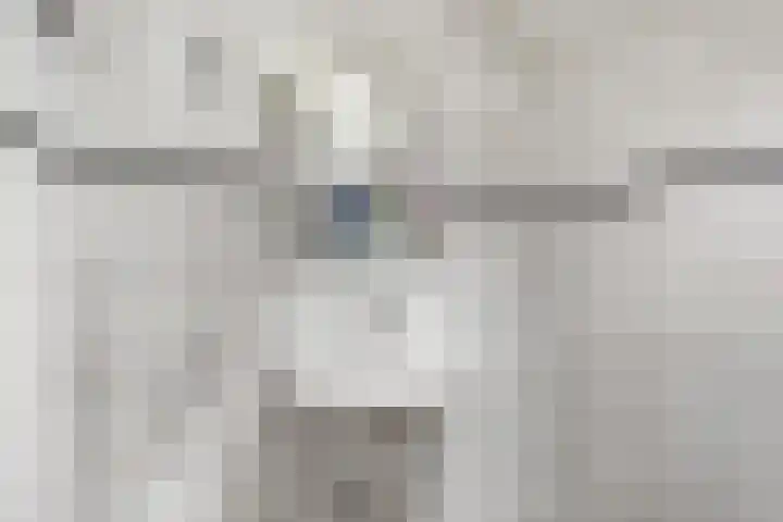 Kempenlaan 2 Nunspeet thumbnail 23
