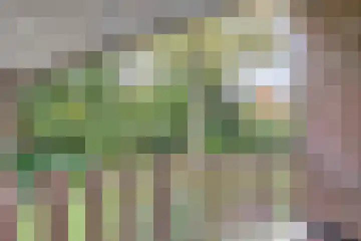 Kempenlaan 2 Nunspeet thumbnail 28