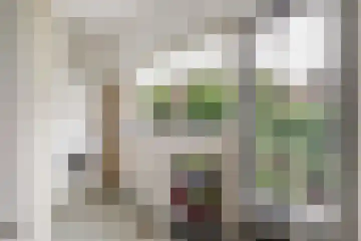 Kempenlaan 2 Nunspeet thumbnail 33