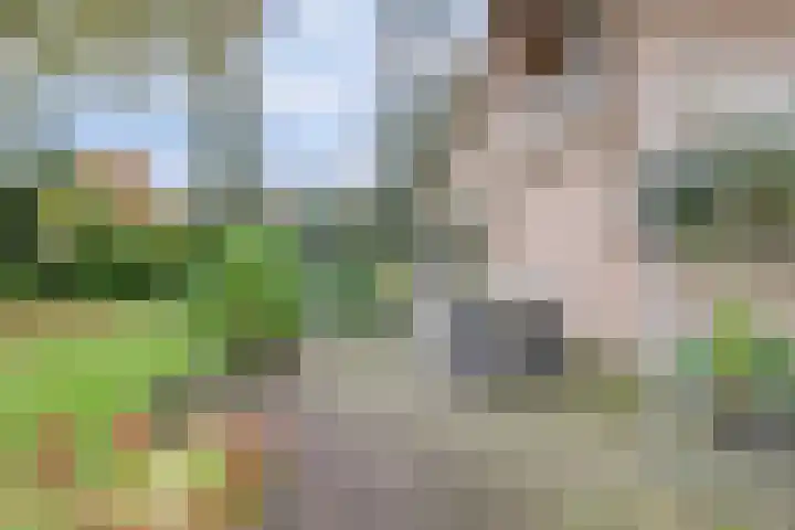 Kempenlaan 2 Nunspeet thumbnail 34