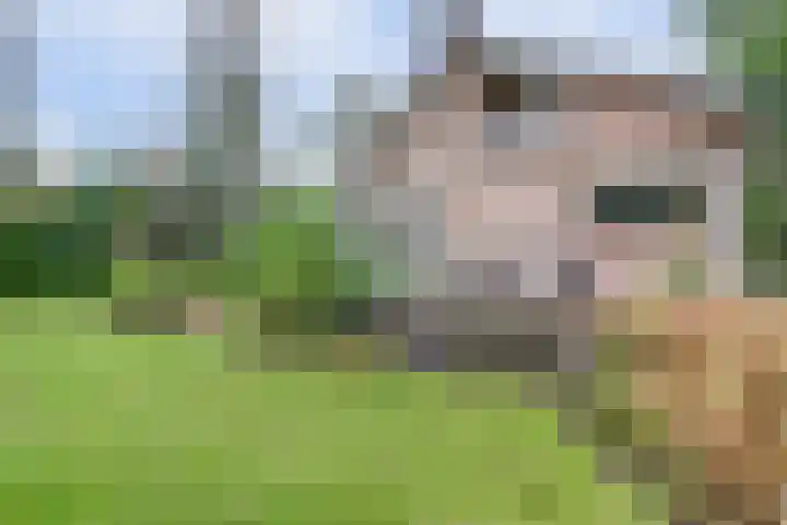 Kempenlaan 2 Nunspeet thumbnail 35