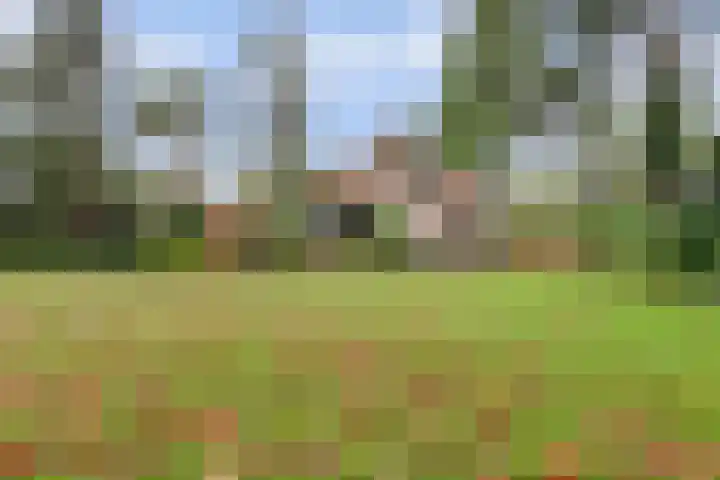 Kempenlaan 2 Nunspeet thumbnail 36