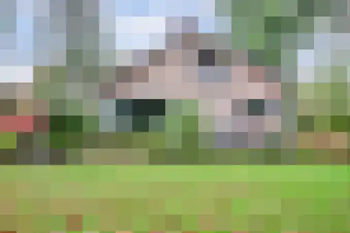 Kempenlaan 2 Nunspeet thumbnail 37