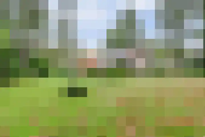 Kempenlaan 2 Nunspeet thumbnail 38