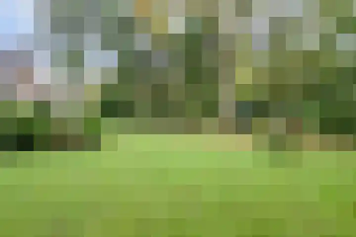 Kempenlaan 2 Nunspeet thumbnail 39