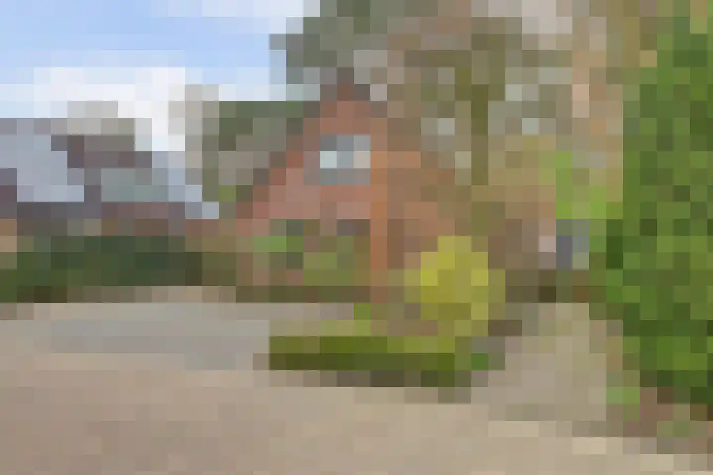 Kempenlaan 28 Nunspeet thumbnail 12