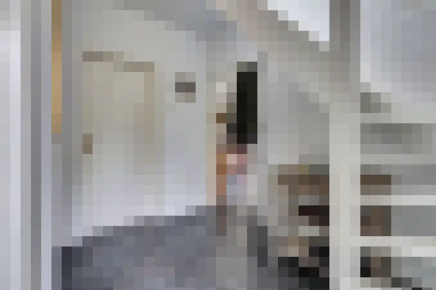 Kempenlaan 28 Nunspeet thumbnail 15