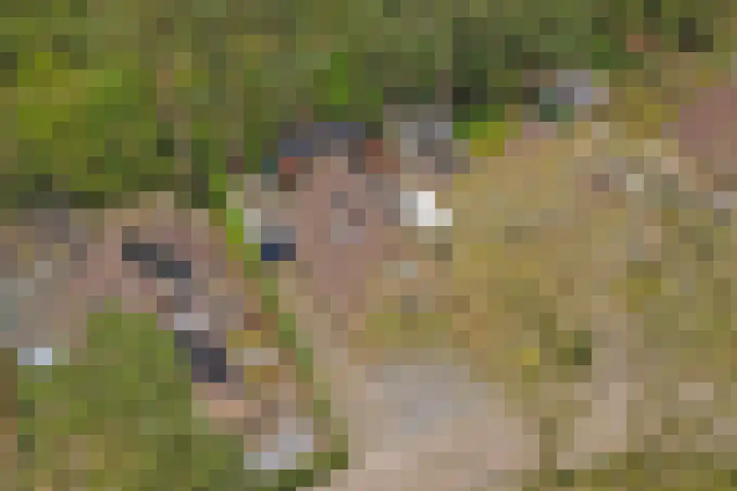 Kempenlaan 28 Nunspeet thumbnail 47