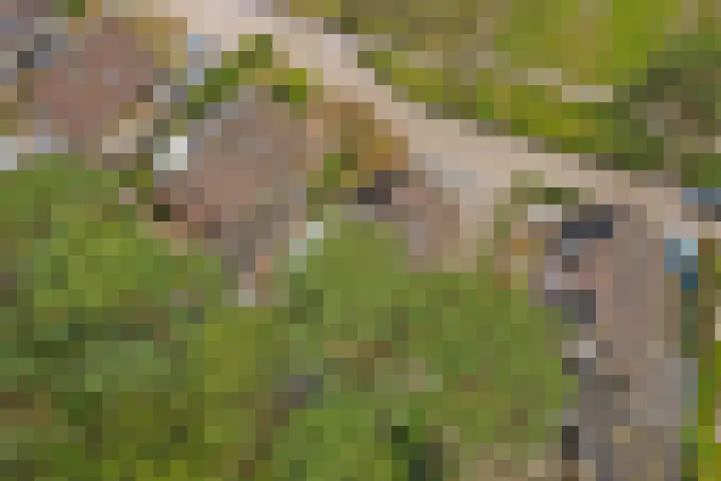 Kempenlaan 28 Nunspeet thumbnail 50